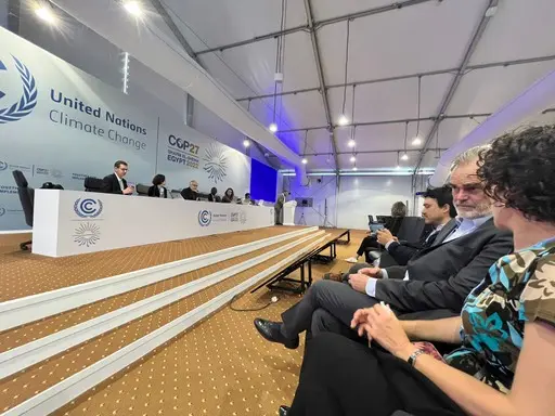 cop27