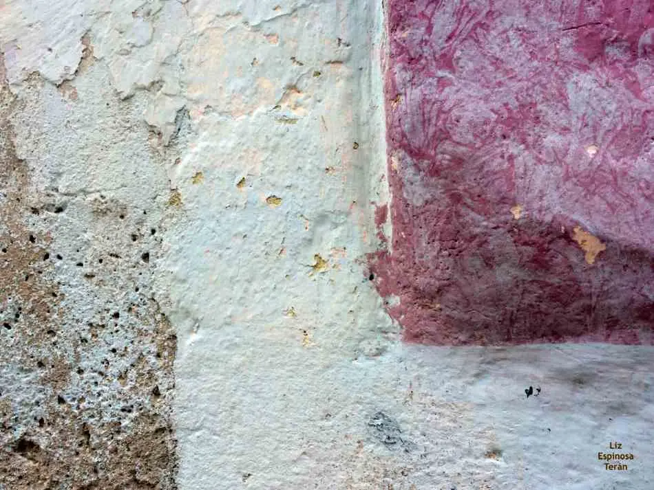 Hasta la pintura siempre - Foto, Liz Espinosa Teran
