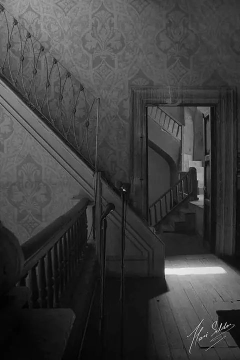 Hari Seldon - Stairway-to-heaven