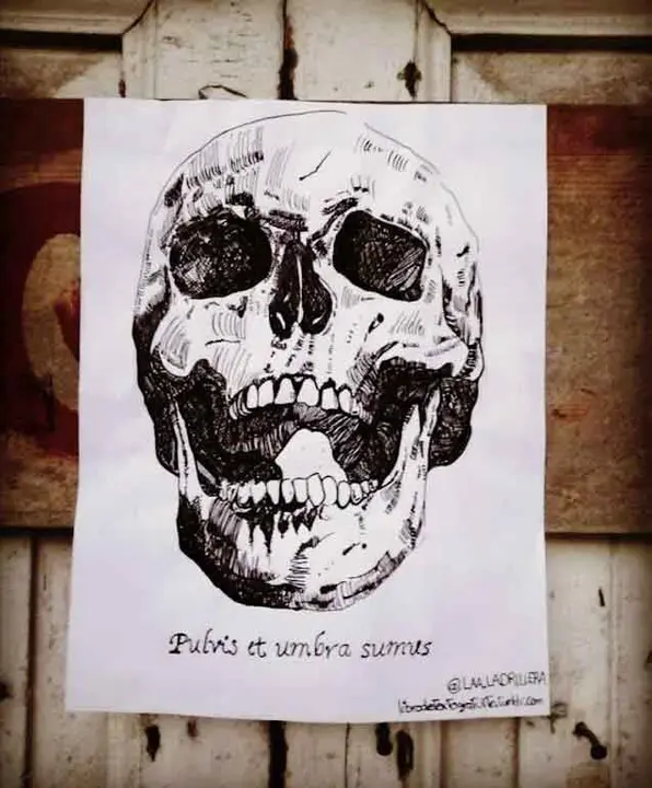 Gato-vivo,-hombre-muerto