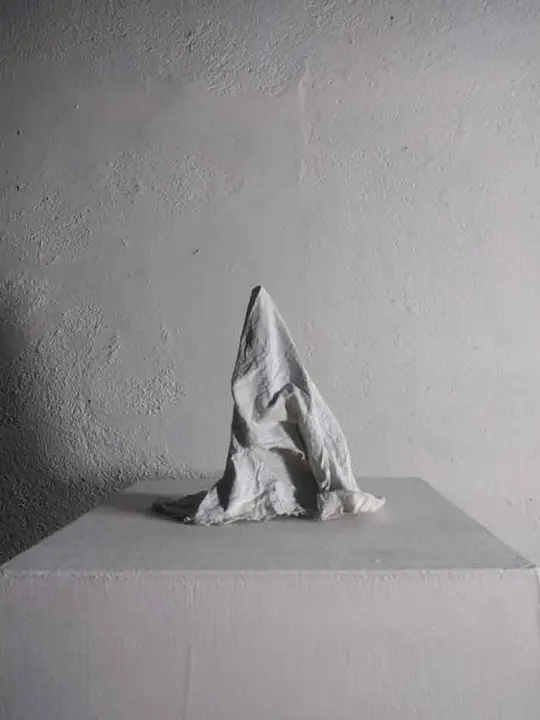 13. Blank canvas sindrome as a transpictorial strategy III