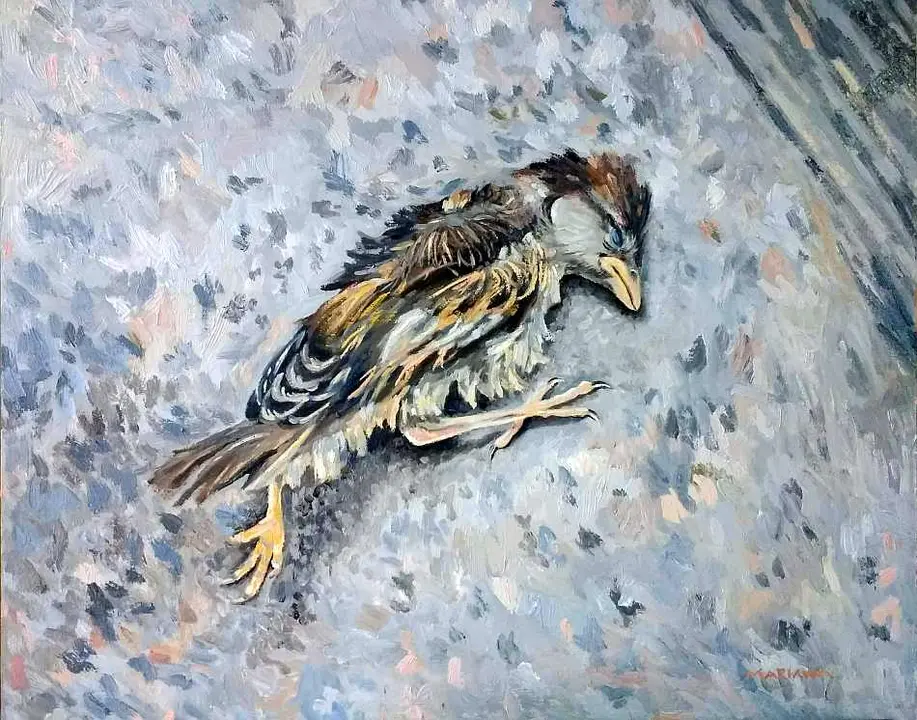 Un ciclo, Mariana Pimentel Franco - Menci&oacute;n Honor&iacute;fica pintura