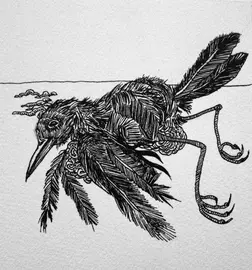 P&aacute;jaro3_