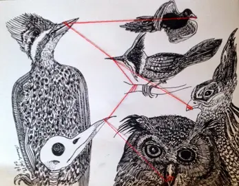 P&aacute;jaros_alien&iacute;genas