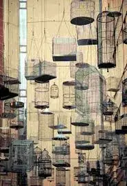 bird cages