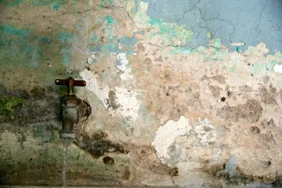 Foto, Mar&iacute;a G&oacute;mez Bulle