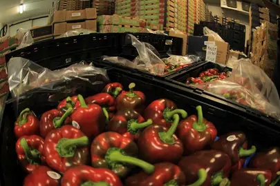 COFOCE apoya la exportaci&oacute;n agr&iacute;cola