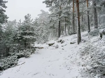 invierno