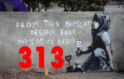 t313 banner