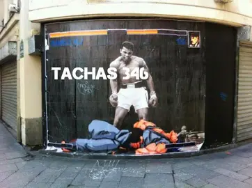 Tachas 346