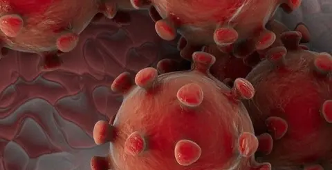 CORONAVIRUS