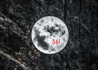 361