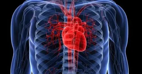 Guanajuato impulsa 'C&oacute;digo Coraz&oacute;n'