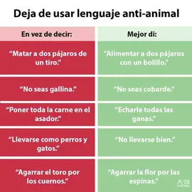 La estupidez humana presenta... 24