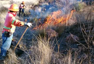 Invita SMAOT a denunciar incendios forestales