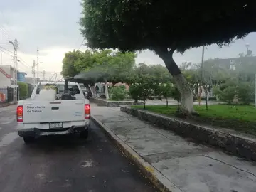 dengue