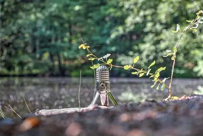 Fotografía, Liz Espinosa Teran