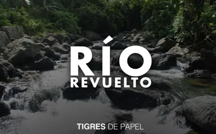 Tigres de Papel 020621