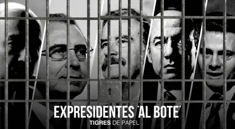 Tigres de Papel 050721