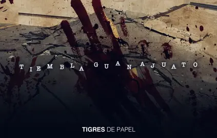 Tigres de Papel 080921