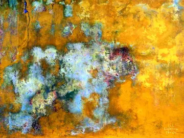 Hasta la pintura siempre - Foto, Liz Espinosa Teran