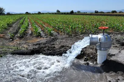 agua