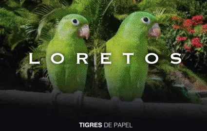 Tigres de Papel