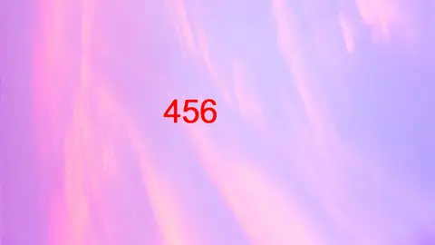 456