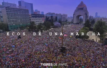 Tigres de Papel 110322 - Ecos de una marcha