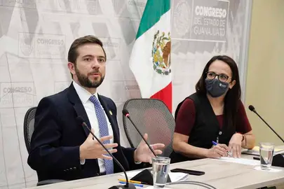 Diputado Víctor Manuel Zanella Huerta