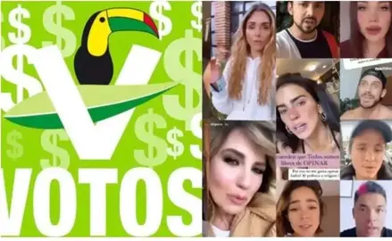 PVEM-influencers