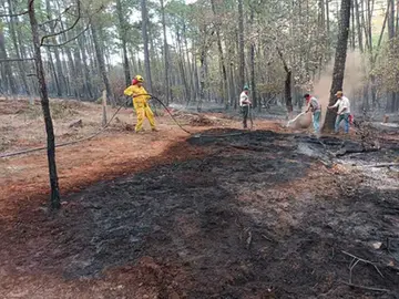Extinguen incendio en los l&iacute;mites de Guanajuato y Quer&eacute;taro2