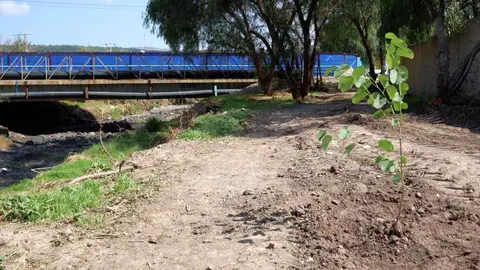 SAPAL Le&oacute;n reforesta la plata de tratamiento de aguas residuales