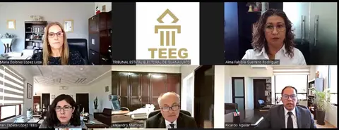 TEEG