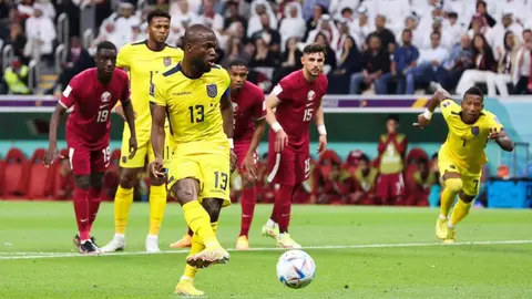 Ecuador vs. Qatar
