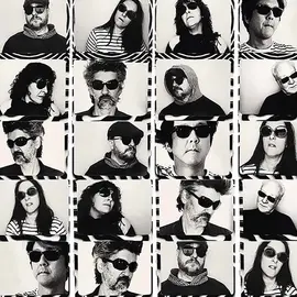 The Magnetic Fields