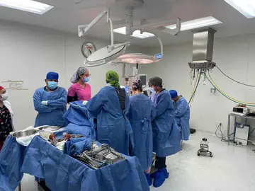imss
