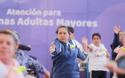 Vida Saludable DIF