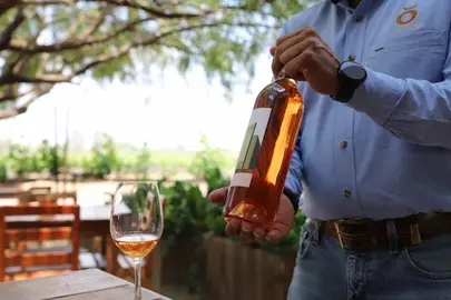 Cuna de Tierra, el vino m&aacute;s premiado en en Citadelles Du Vin