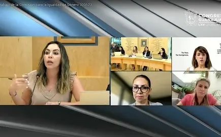 Comisi&oacute;n para la Igualdad de G&eacute;nero