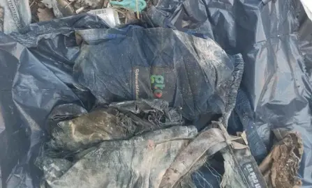 Foto para cr&oacute;nica de buscadoras 