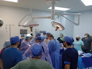 PROCURACI&Oacute;N GTO  organos