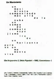 D&eacute;cio Pignatari - Un movimiento