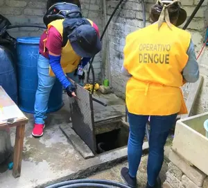 dengue