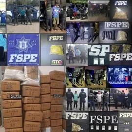 FSPE