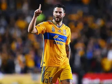 Andr&eacute;-Pierre Gignac