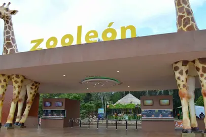 zoo