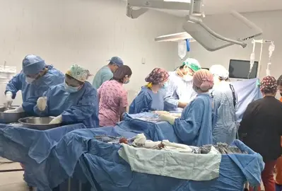 organos imss