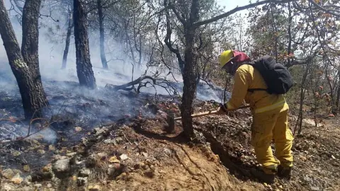 Combaten incendio en la sierra de Santa Rosa