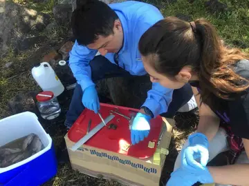 Egresada UG analiza los riesgos ambientales ocasionados por presencia de micropl&aacute;sticos en la Laguna de Yuriria (10)